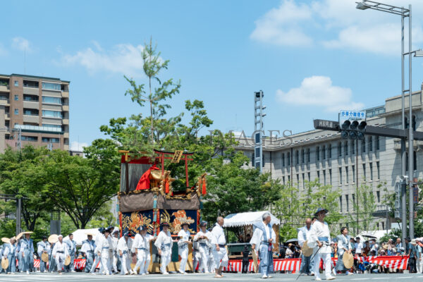 八幡山・後祭20250008